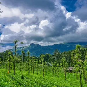 Ende Wayanad Hotel